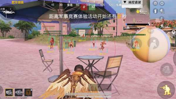 和平精英《紫火》外挂独家稳定大号